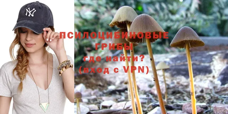 купить закладку  Ленск  Галлюциногенные грибы Psilocybe 